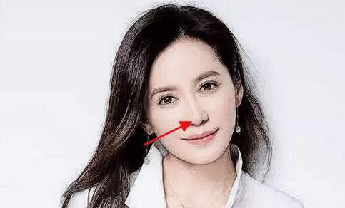 女人什么样的鼻子财运好