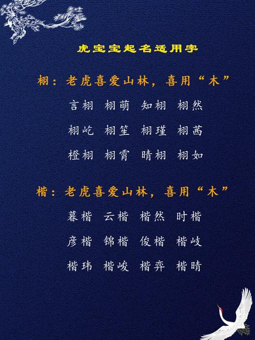 姓胡的男孩名字什么好两字