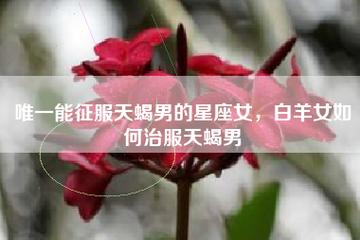 天蝎座驾驭的星座