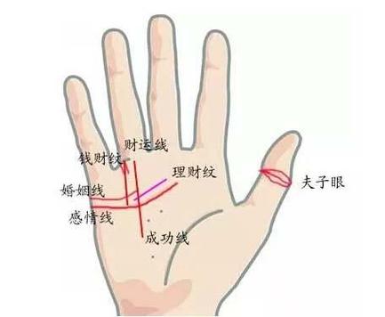 介绍你看什么样的手相最易成为有钱人
