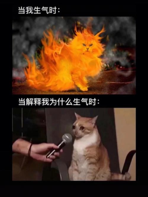 天蝎女和狮子男配对如何,想要感情更和谐应该这么办