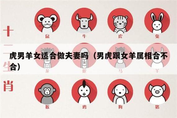 姻缘算命:属虎的女人和属羊男配吗