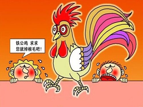 什么样的生肖人最铁公鸡