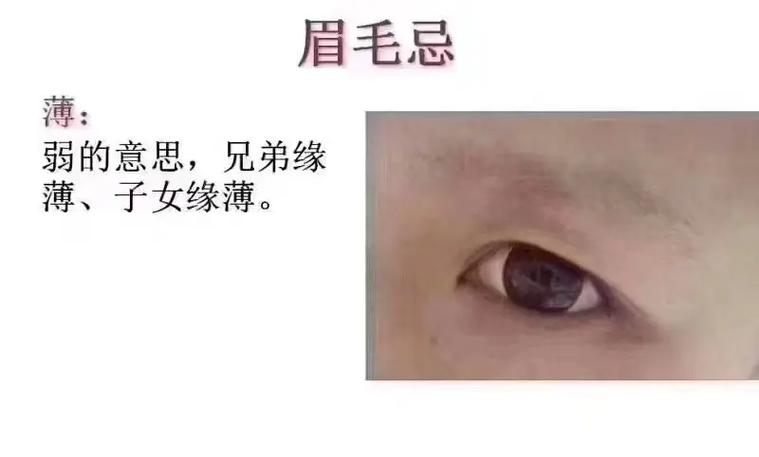 相学眉毛特别长是什么意思