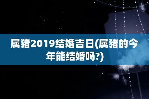 属猪己亥年农历十月结婚可以吗,属猪人结婚忌讳哪个生肖?