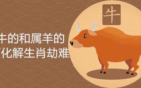 属羊男和属牛女相配吗?属羊男桃花劫哪一年?