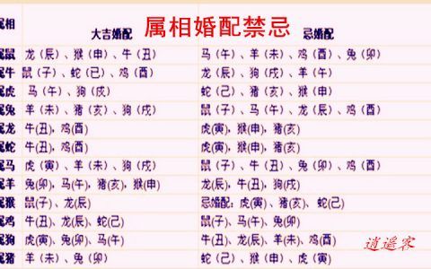 属羊的最佳属相婚配表大全