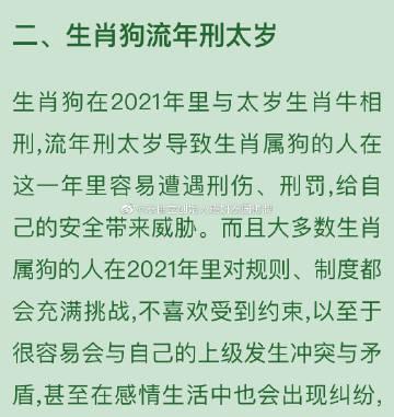 2021年属狗的人 会不会犯太岁