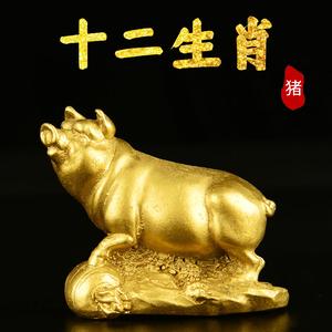 猪三合的有啥生肖