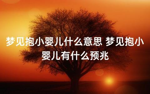 梦见别人家的婴儿什么意思