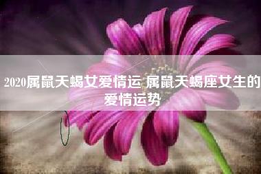 天蝎属鼠喜欢的女人