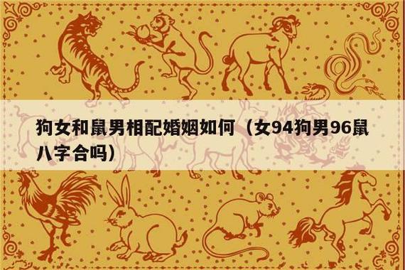 属鼠女生喜欢男生用什么套路追