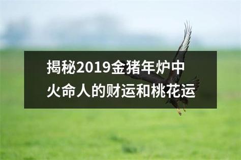 揭秘2019金猪年山头火命人的财运和桃花运