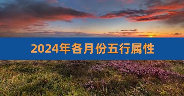2024年五行属什么