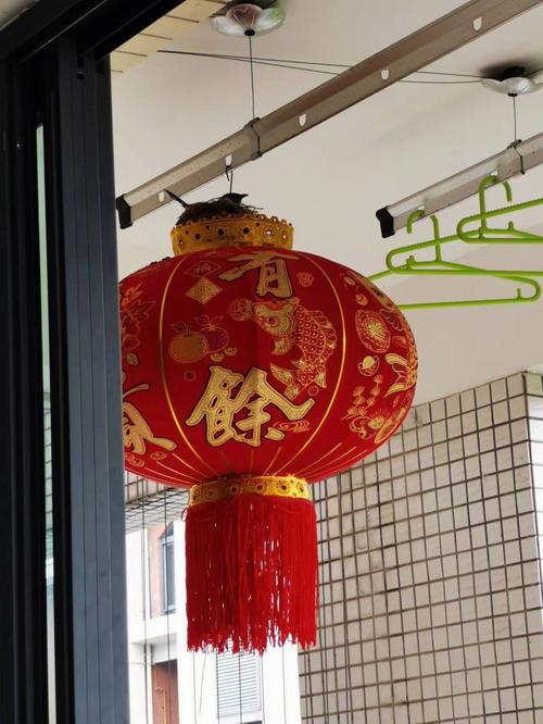 梦见鸟蛋孵出小鸟什么意思