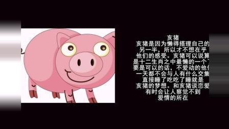 恋爱时喜欢操控对方的生肖