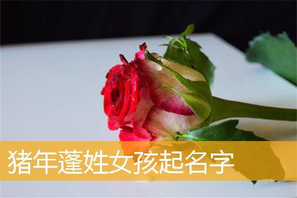甜美快乐姓蓬的女孩名字大全