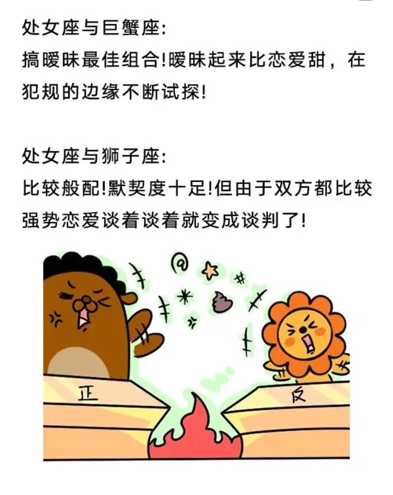处女座男和什么星座最配对