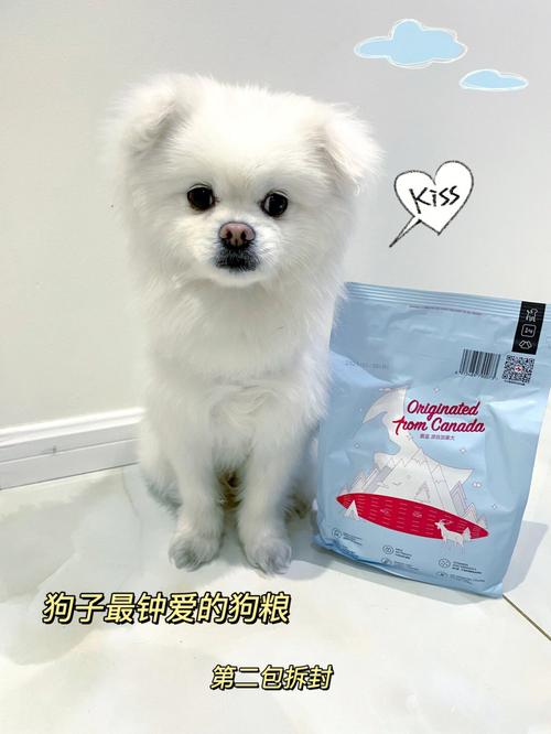 属狗女对先性后爱的看法