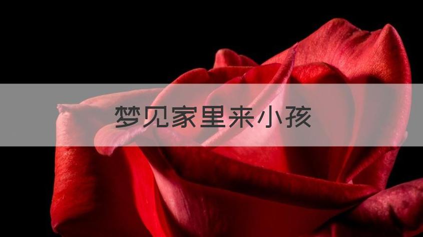 梦见家里来小孩