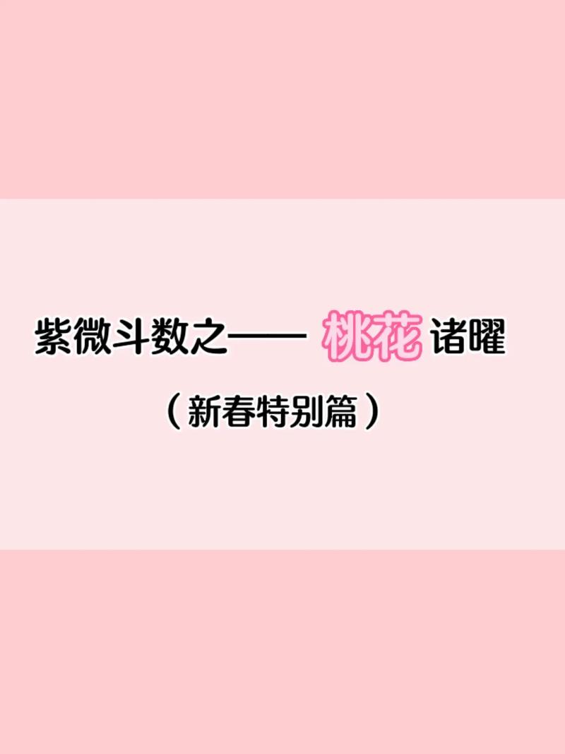紫微斗数之桃花教主