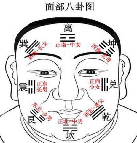 面相断语里的解读