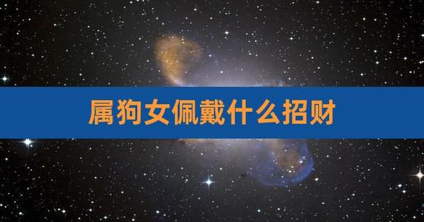 属狗的女人适合做什么工作