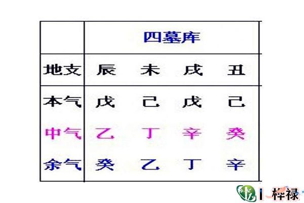 怎么看命中财库多大