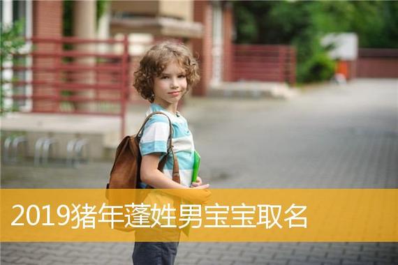 猪年蓬姓男宝宝起名