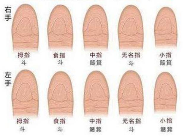 十指无斗什么命