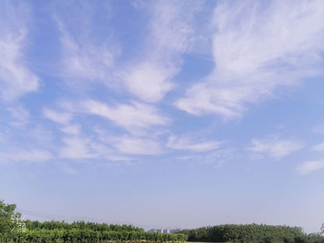 梦见摘桃吃桃什么意思