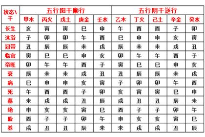 八字十天干精解