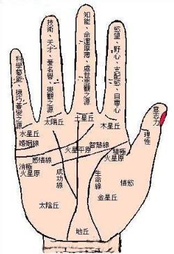 女人手掌生命线图解
