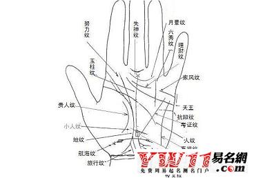 详细介绍苦情痣和断掌的有关内容