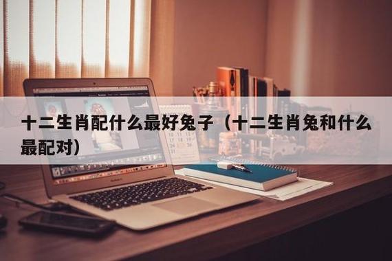 属兔的和属兔属相好不好