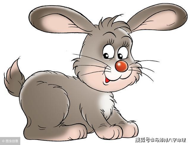 有则改之,属兔爱情里常犯啥毛病