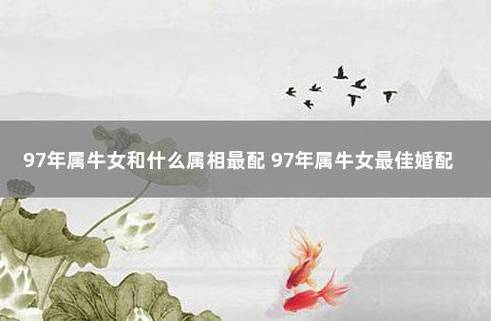 97年属牛的女孩婚配