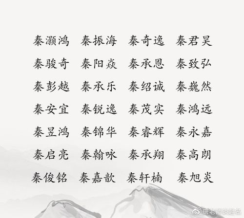 含秦字的男孩名字