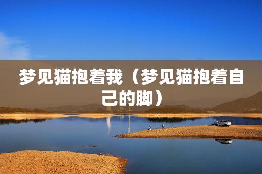 梦见被猫抱住脚