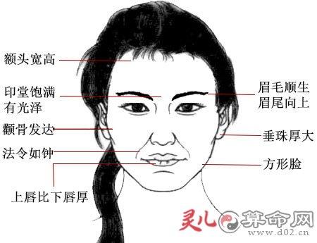 易成为女强人的面相