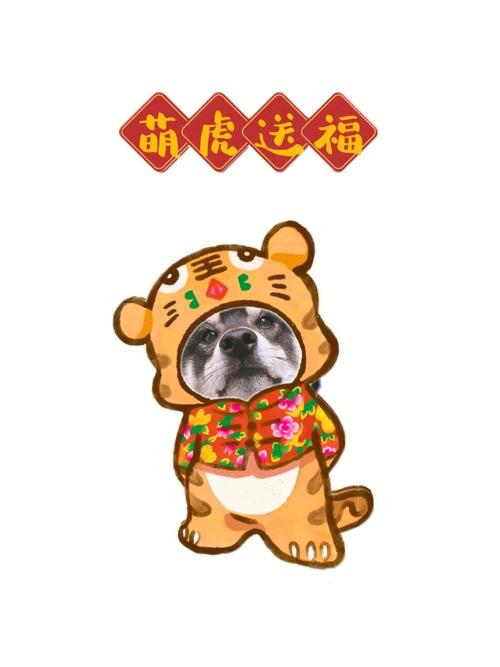 属兔人遇虎年必有一破