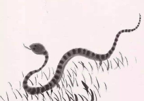 梦见梦见死老鼠和死人