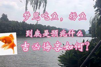 梦见用网捕鱼 梦见捕鱼什么意思