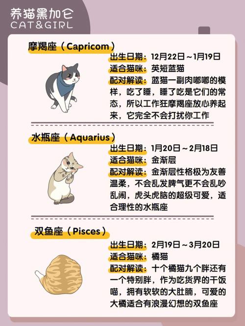 十二星座最适合的mao
