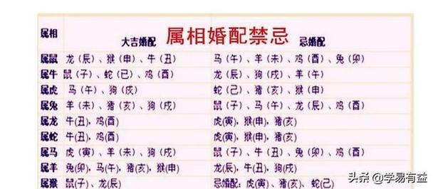 属猪本命年要注意什么