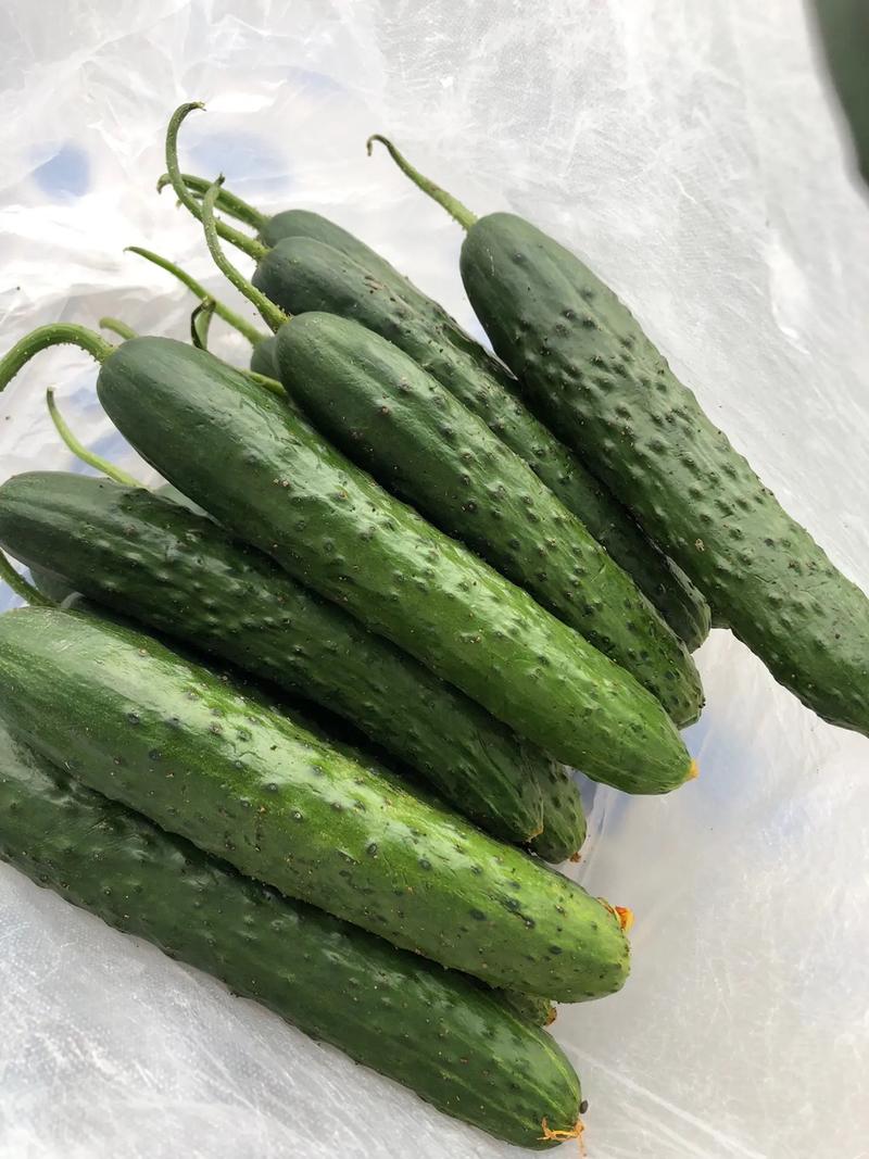吃了好多黄瓜