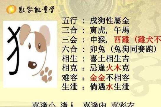 1970年出生的属狗人2019年运势解析