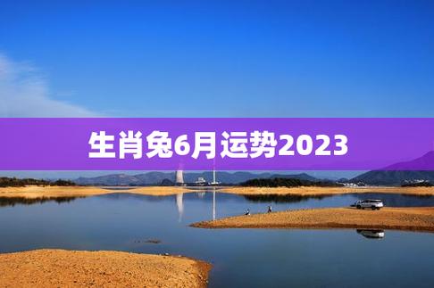 属兔的人今年的运程好不好