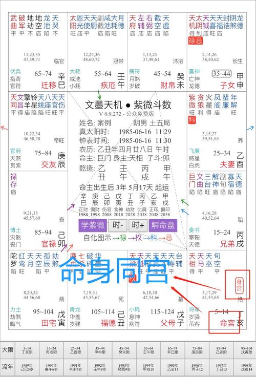 紫薇斗数排盘科权是什么意思