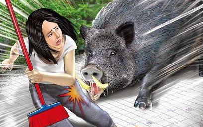 梦见母猪追着咬我我跑了